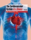 The Cardiovascular System at a Glance
